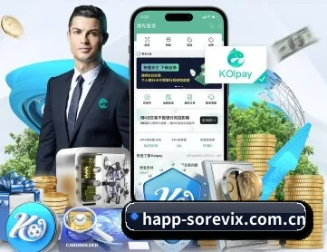 B体育下载 APP