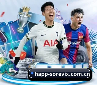 B体育下载 APP 界面