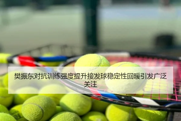 樊振东对抗训练强度提升接发球稳定性回暖引发广泛关注