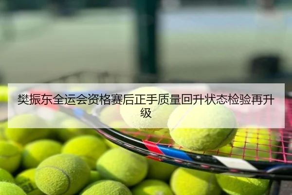 樊振东全运会资格赛后正手质量回升状态检验再升级