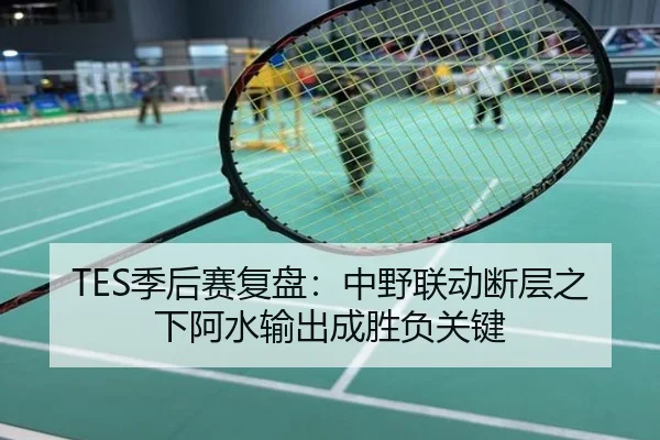 TES季后赛复盘：中野联动断层之下阿水输出成胜负关键