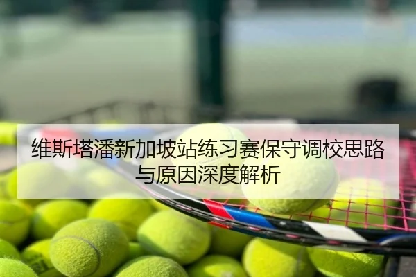 维斯塔潘新加坡站练习赛保守调校思路与原因深度解析